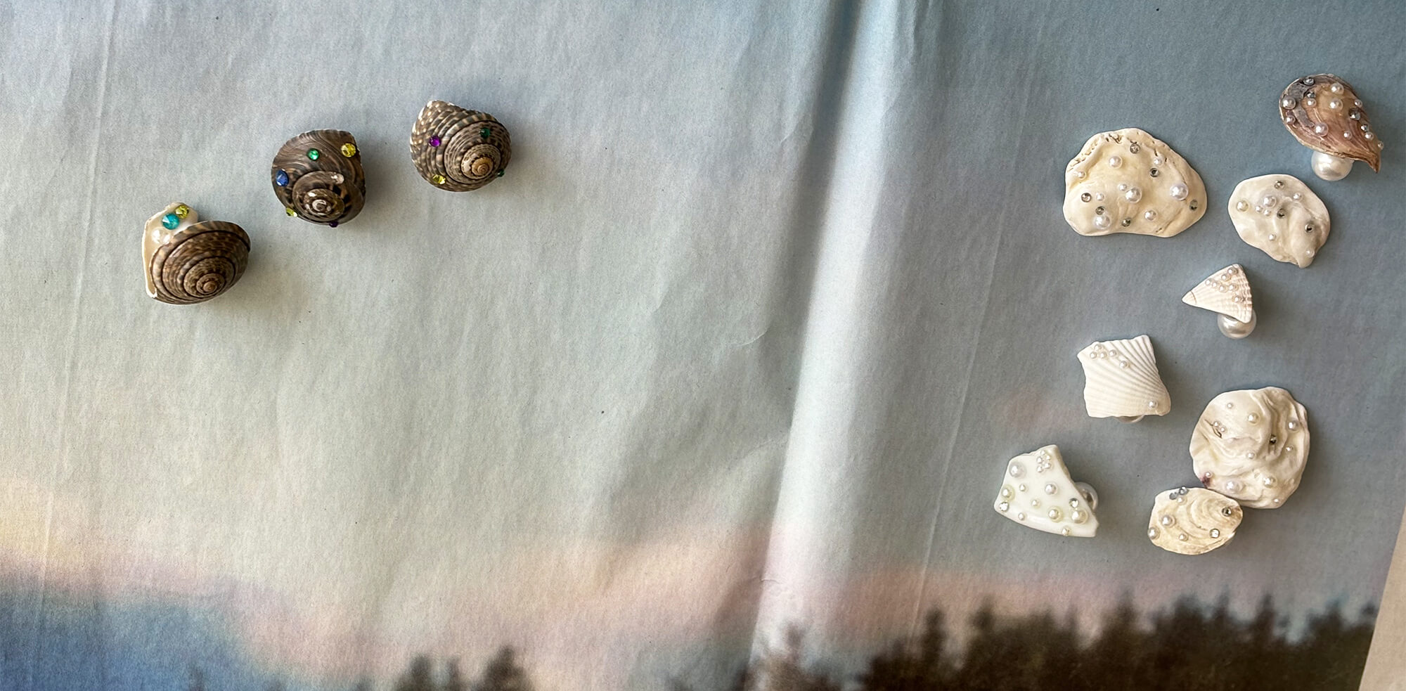 新聞紙に広げた貝の作品